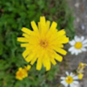 Meet your Posher, Joanna